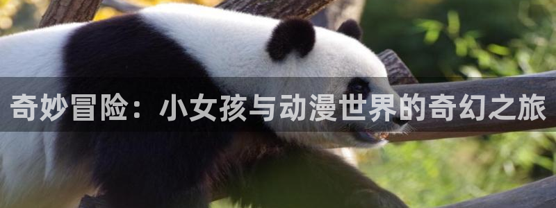 动漫天堂.cc